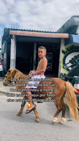 Clima de Pantanal aqui aonde eu moro 🐴 quem entendeu o nome desse pônei ? Só sei que achei eles fofos demais ☺️ #pantanal #ponei #cavalo #horse #fofos #cute #animais #praiagrande #viral #fy #fypシ゚viral