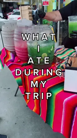 Definitely some what better than the other #MomsofTikTok #momlife #sahmlife #fyp #whatiate #trip #calitrip #minivlog