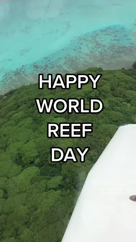 Happy #worldreefday 🌏 share this video to show others how to help #savethereef & share some more ways below! #ocean #reef #coralreef