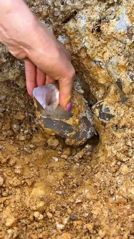 💎Pulling out a super clear, twin Quartz crystal⛏ #digging #crystals #rockhound #Quartz ✨
