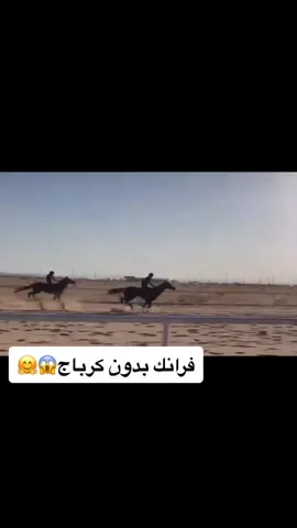 #اكسبلور #البطل فرانك#خيل_عربي #اذكروالله_ماشاء_الله