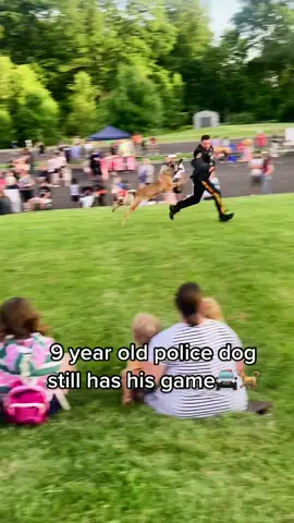 take down 💪🏻 🐶 #police #policedog #unstoppable #ReadyForHell #MINDORDERING #tiktok #video #viral #tiktokindia #dogs #dogsoftiktok  #takedown #follow #followformorevideo