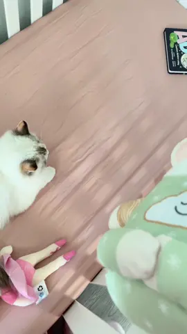 Clementine's new favorite toy
