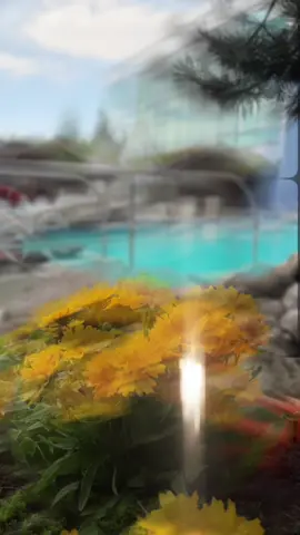 Wir wünschen euch ein tolles und vor allem entspanntes Pfingstwochenende🌷!Ihr habt noch nichts geplant? Dann verbringt Pfingsten doch einfach bei uns. 😎  Wir haben geöffnet: 🏊 Badewelt von 09:30 bis 21:00 Uhr und  🧖‍♀️Saunaparadies von 09:30 bis 22:00 Uhr #titania #titanianeusaes #schwimmbad #sauna #pfingsten
