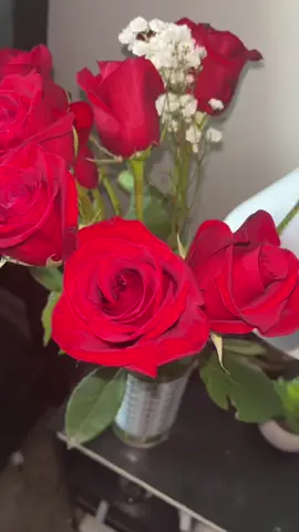 Red roses 🌹 are my favorite ❤️ #justbecause