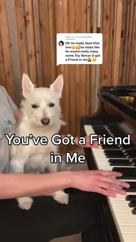 Reply to @nandycandy888  #youvegotafriendinme #toystory #pixar #PetsOfTikTok #pianomusic #foryou #sundayfunday