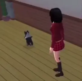 breakdancing cat