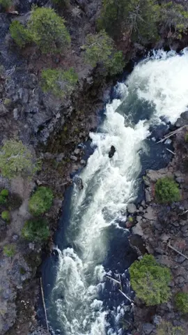 Where the lava met the river 7,000 years ago 🙃 #lava #river #aerial #godisgreat #oregon #planetearth #waterfall #pnw #natureinspired #nature #naturetok #natureismytherapy #landscape