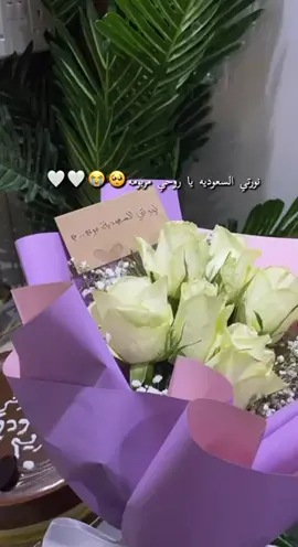 نورت السعوديه بجيتك 