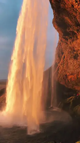 Where water becomes fire. 🇮🇸 🌅 #nature #iceland #Outdoors #sunset #travellife #seljalandsfosswaterfall #traveltiktok #waterfall