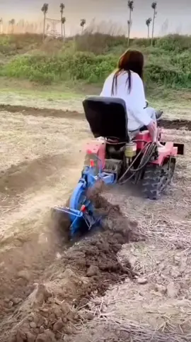 The Simple Chinese Plow at work! #plow #plowing #plough #ploughing #farmmachinery #china #farmmachine #machinery #fyp