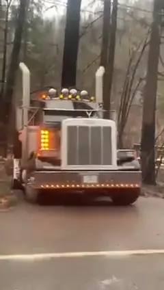 Peterbilt hauling logs outta the forest. #peterbilt #semi #truck #log #logging #heavy #heavyhaul #beermoneypullingteam #forrest #woods #wood #trees