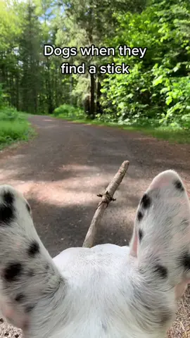 Yay