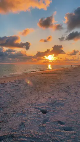 fl>