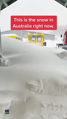 They don’t call them the Snowy Mountains for nothing. Video: Valhalla Perisher via Storyful #Snow #Australia #Winterishere #Winter #SnowDay #Cold #Freezing #Snowing