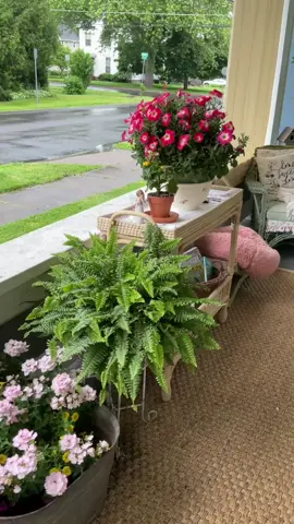 To the few hundred folks who saw a previous, barely edited version of this video when I accidentally uploaded it to stories on Sunday, I extend my apologies. I hope you’ll appreciate the improvements I’ve added. hee hee hee #frontporch #vintage #CleanTok @Mrs. Meyer’s Clean Day @BLACK+DECKER