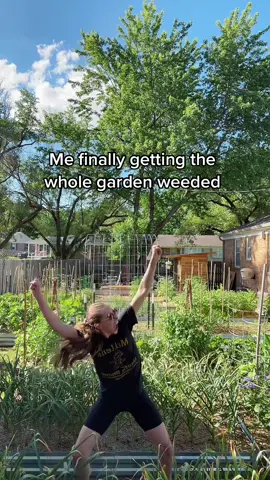 Now that my garden is so big I’ve found a little weeding every day does the trick!! I try to break my garden into 4-5 sections and work on one every day or every other! Weedings isn’t the funnest but through the years I’ve learned how to manage it. In the beginning years of gardening I would get so overwhelmed! Weeds will pop up overnight 😅. When you make it part of your gardening routine it’s just less of a headache to deal with. #iwin #weeding #gardenhumor #backyardgarden #growyourownfood