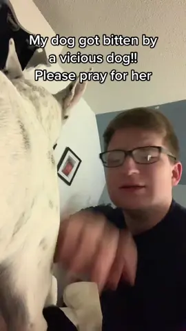 Tame your dogs people!!
