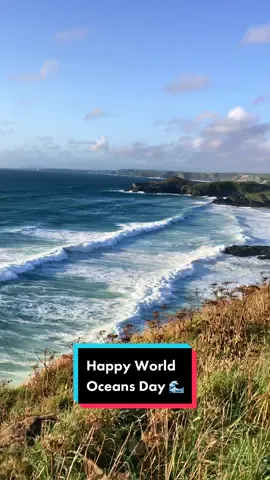 Happy World Oceans Day from Cornwall  🌊 #worldoceansday #ocean #amazingcornwall #coast