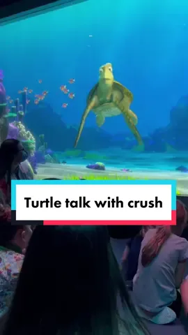 Turtle talk with Crush is my FAV💀 #findingnemo #disney