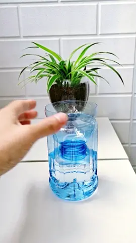 Good idea😃#foryou #DIY #idea #trick #LifeHack #LearnOnTikTok #tipsforgirls #wow #skills #foryoupage