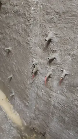 Nozzle grouting method.#skillsewahomeinspection #skillwaterproofing #repair #gharkodoctor #renovation #skillsewa #renotips #skillmanpower #electricWire #ghardarbar