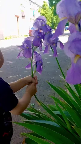 Я заради тебе гори здвину, сину🥹🫶бо так тебе люблю сильно❤️🤱#обійматимутебемійсину #мійсиночок #foryou #stopwar #myson