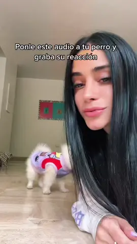Les presento a Luna🐶💓