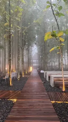Kira-kira seperti inilah suasana rumah terbaru kami disaat hujan turun. Sampai berjumpa tanggal 15 juni di kopi Nako Kebonjati sobat nako.  Video by @nandarasman