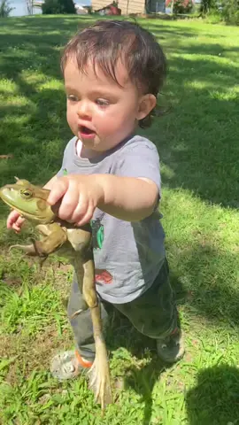Our 1 year old caught a bullfrog! 😳 😂 #MakeASplash #bullfrog #babyboy #Outdoors #catchingfrogs #frogs #wildanimals #babiesoftiktok