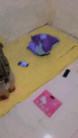 #tiktokerバトル #