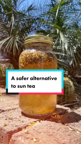 This might be a little controversial but it needed to be said. #suntea #icedtea #bacteria #summerdrink #teatok #teamaker #teaaesthetic #herbaltea #coldbrewtea  #fyp #foryoupage