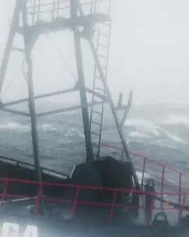 Tempestade forte na área de pesca ameaça a tripulação do navio #PescaMortal #AnimalPlanetBrasil #discoveryplusbr