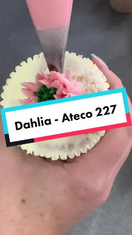 Dahlia time #buttericing #pipingvideo #flower #pipingbuttercreamflowers #caketok #cakedecorating #debbiebakes #JDSummerDrip #cakestuff #caketok #ateco227 #pipingnozzle #dhalia #closedstartip #learncake