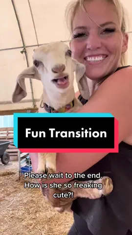 Had this fun transition idea and of course, Bean nailed it! #Bean #LoveHer #Transition #Spin #Farm #Goat #AmazonVirtualTryOn #MakeASplash #FYP #ForYou