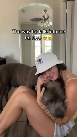 THE SWEETEST BOY 😭 #dog #dogsoftiktok #cutedog