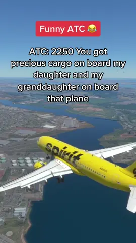 Act vs Pilot 🤣 Pt.3 #microsoftflightsimulator2020 #aviation #avgeek #fyp