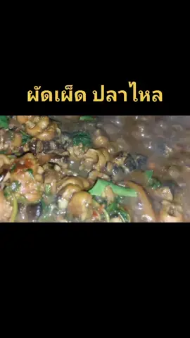 #លោកគ្រូចេខេត្តបុរីរម្យ #เขมรถิ่นไทย #ឌីជេយាយក្លាំ #ยายกล่ำแอบกลีน #ดีเจยายกล่ำ @YouTube:เขมรถิ่นไทย ខ្មែរលើ