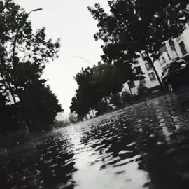 ما أجمل رائحة المطر ... عندما تأتي بعد غياب طويل ….وحينما تعانق قطراته التراب....وما أروع هذا الشعور الذي يعترينا ونحن نستنشقها بهدوء ....شعور يجعلنا نتذكر أصلنا ومصيرنا....للمطر رونق خاص بداخلنا....بقطراته العذبة ورائحته الفوّاحة ....تبعث الأمل والسعادة في نفوسنا....وتخبرنا بأنّ الخير قد أتى ....تنفسوا رائحة المطر و ادعوا الله ما شئتم فإن في المطر دعوات لا ترد اللهم إسقنا الغيث ولا تجعلنا من القانطين...