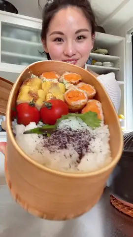 Sunday with Moe and Sutan!#KimonoMom #JapaneseFood #bento #bentobox#tofu#tofuhamburg
