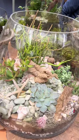 #life #terrarium