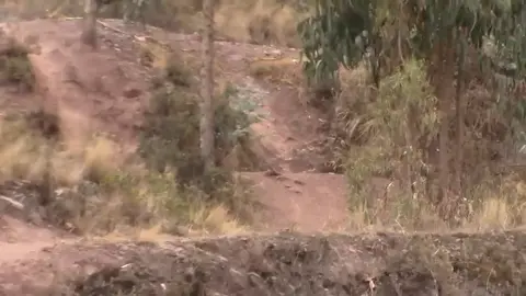 Downhill en el cerro Huacoto el Brujo Cusco. #mtbcusco🚲 veinte minutos de descenso y adrenalina pura. #downhill #Enduro #Moutainbiker #mtblife #Cusco