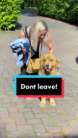 Wat have you done🙀 #dontleave #lifeofdog #marley #pup