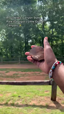 Pls go out and see this. It was an amazing adventure!! Perf distance for the ATL folks and north Floridians #providencecanyon #providencecanyonstatepark #gapark #gaparks #georgiaparks #ganature #georgianature #atlparks #atlpark #littegrandcanyon #grandcanyon #canyon #naturegirl #natureadventure