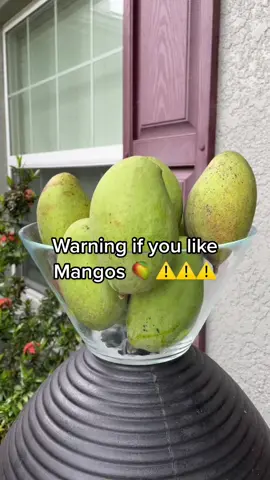 The worst part about picking Mangos