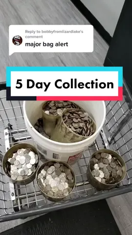 Reply to @bobbyfromlizardlake Heres how much my laundromat mat made in 5 days! #laundromat  #business