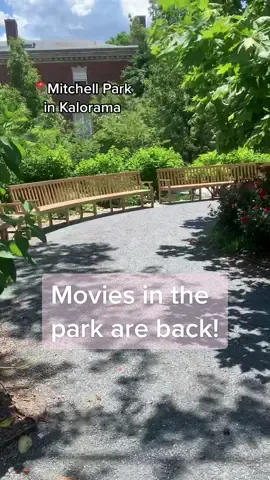 That time of year again 😊 #mitchellpark #washingtondc #dupontcircle #kalorama #moviesinthepark #slumdogmillionaire #dctiktok #dcist #dctok