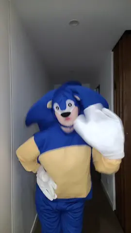 the final boss #studipolis #sonic #sanic