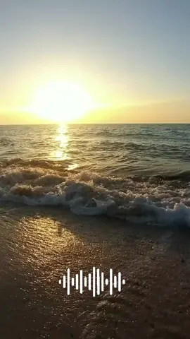 #ولا_صحبه_احلي_من_تجلي_الذات #حمزه_نمره #hamza_namira #music #ولا_صحبه_أحلى #تجلي_الذات