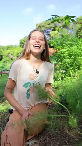 Já viu a planta da erva doce? Ou também conhecida como funcho. Pra mim ela tem gosto da minha infância, passei invernos comendo essa planta docinha.